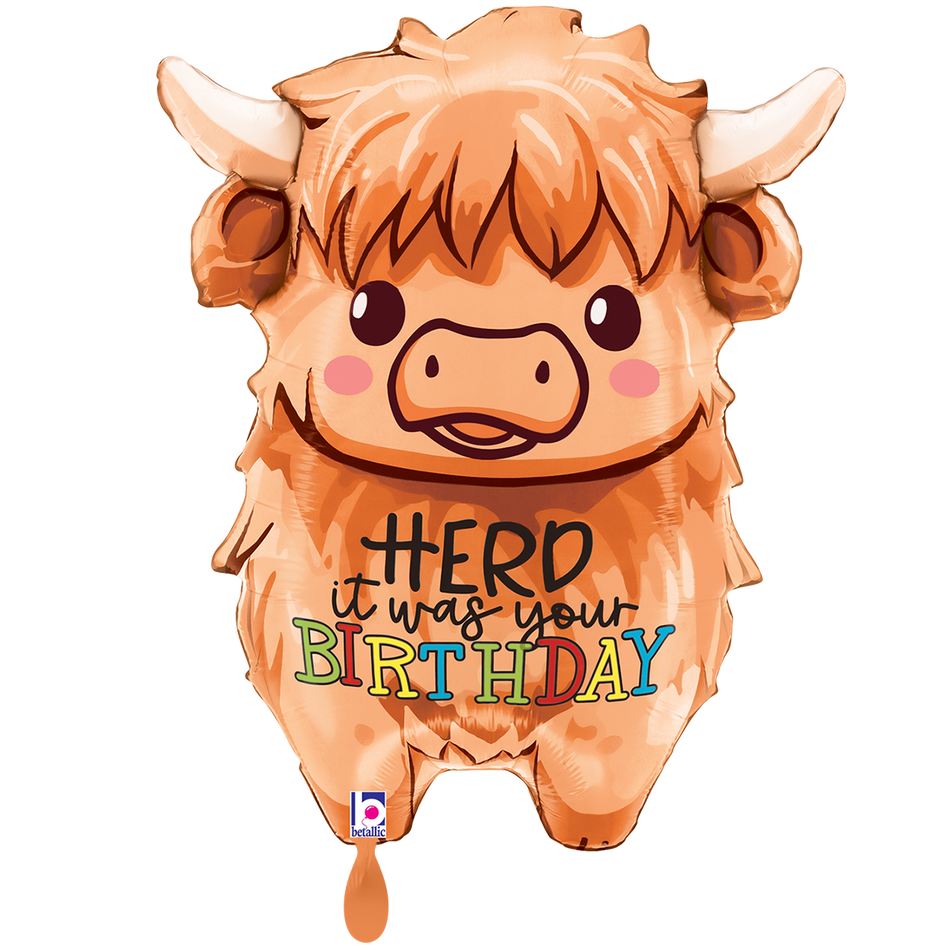 Birthday Hero  - Folienballon