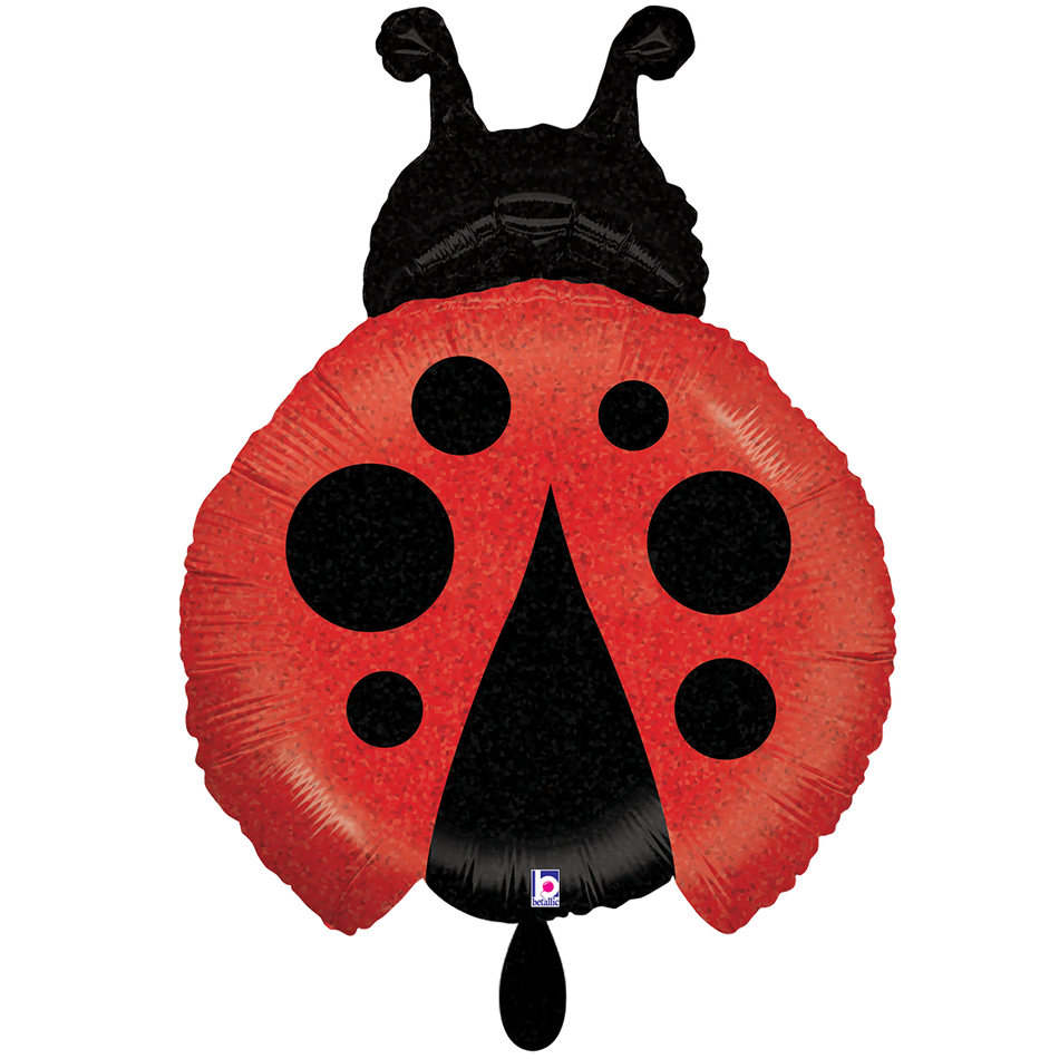 Marienkäfer - Folienballon