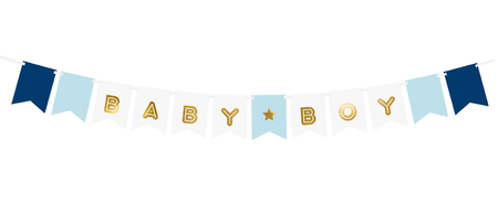 Screenshot_2020-05-30 Banner Baby Boy, mix, 15 x 160 cm - Internet shop